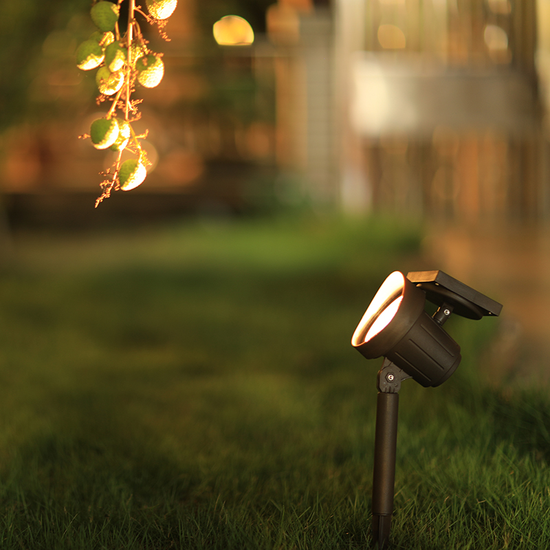 TB2kEExrAKWBuNjy1zjXXcOypXa_!!3100789251.jpg TB2kEExrAKWBuNjy1zjXXcOypXa_!!3100789251.jpg